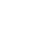 decorative icon
