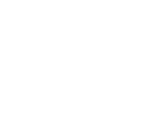 decorative icon